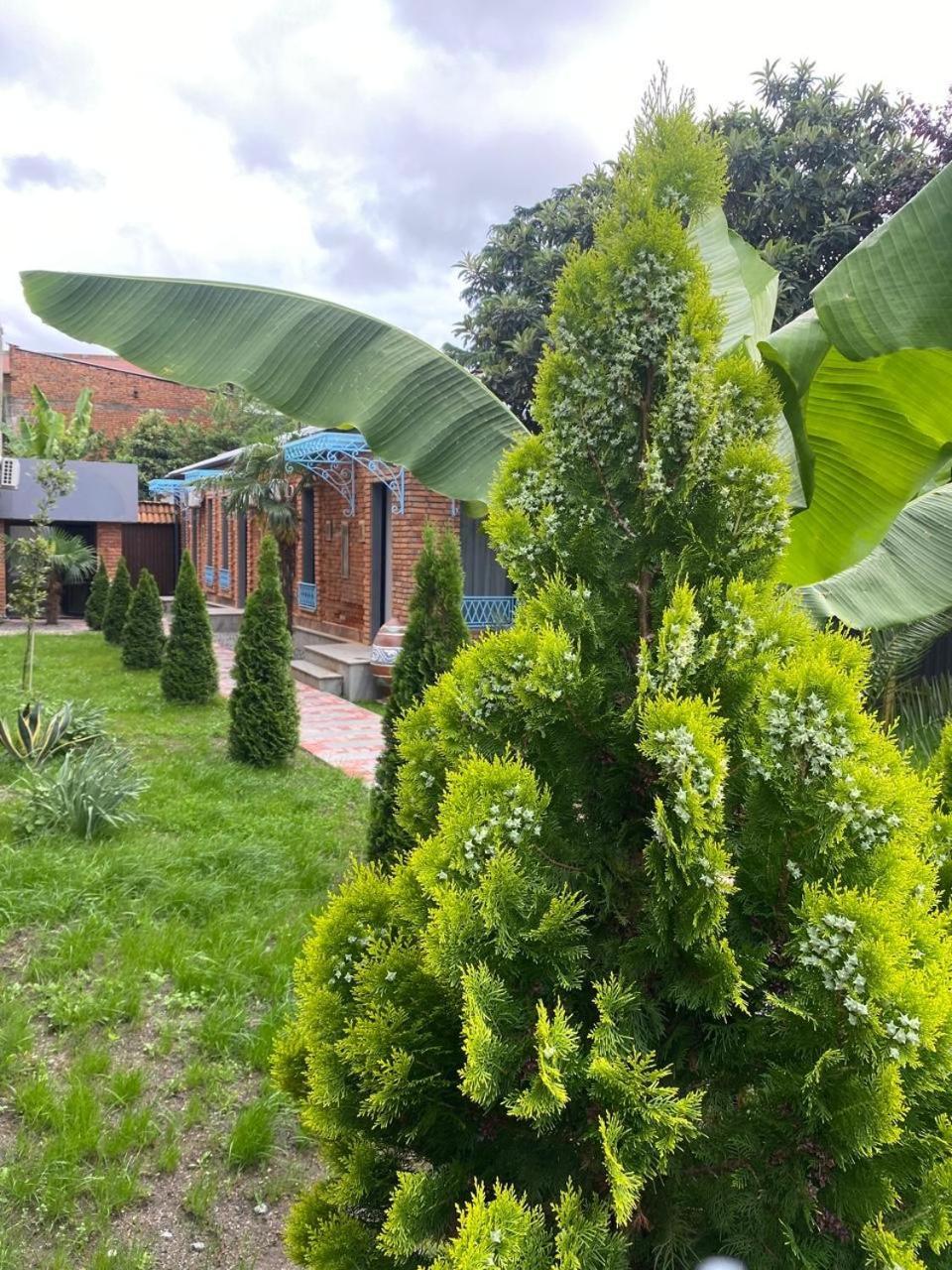 Hotel Varla Kutaisi Bagian luar foto